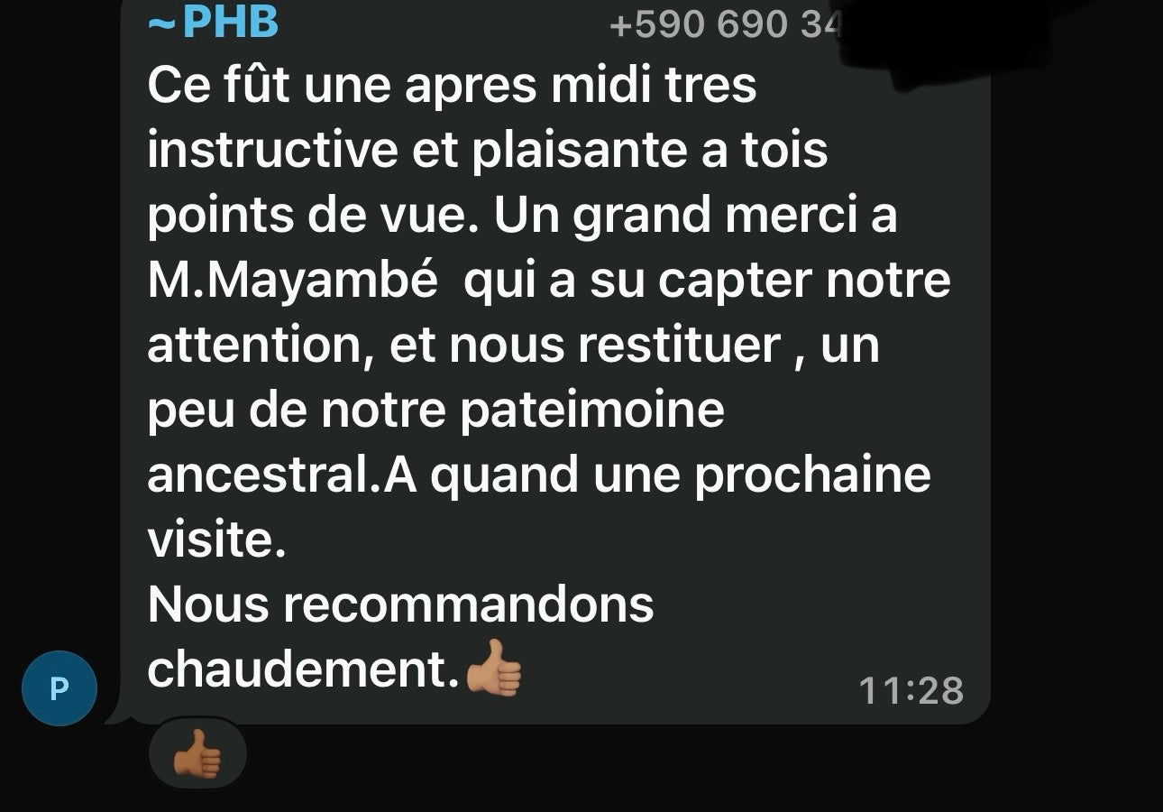 Visite du musée du Louvre